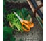 Универсальные ножницы садовые Fiskars 21 см Classic 1075033 ЦЗ-0925907840 13