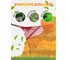 Веерные грабли с пластиковой рукояткой WMC TOOLS 50018 TG2203032 6