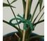 Шнур для подвязки растений Greengo 50 м, зеленый 6628222 3