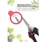 Ножницы Proline Bellota 3624C 3