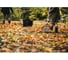 Грабли для листьев с черенком FISKARS Prima ЦИ-0022946000 2