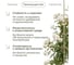 Колышки садовые для подвязки растений композитные 20 штук бежевые ГеоПластБорд КК7640 4