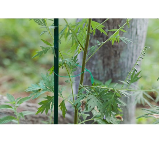Подвязочная проволока Greengo 20 м, 2 мм, зеленая 3098159