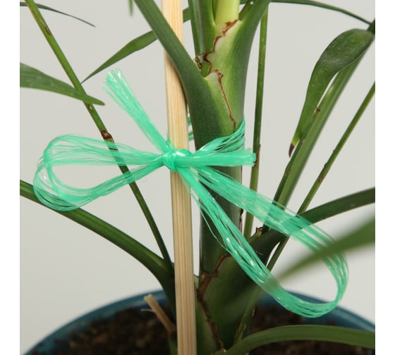 Шпагат для подвязки растений Greengo ПП , 100 м, зеленый 6628223