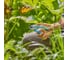 Секатор Gardena 12230-20.000.00 7