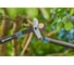 Сучкорез Gardena EnergyCut Pro L 12051-20.000.00 5