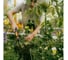 Рыхлитель Fiskars Grebber OneClick (1080686) ЦИ-0000074088 7