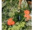 Совок садовый Fiskars OneClick (1080693) ЦИ-4446000720 7