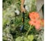 Совок садовый Fiskars OneClick (1080693) ЦИ-4446000720 8
