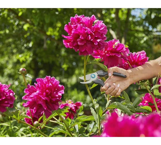 Секатор Gardena EcoLine 12210-20.000.00