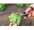 Ножницы для овощей Fiskars Solid SP240 1063327 13