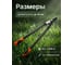 Сучкорез STARTUL Garden ST6096-03 ЦВ-0299284455 6