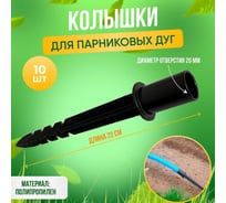 Колышки для крепления парниковых дуг ГеоПластБорд высота 220 мм, диаметр 20 мм, комплект 10 шт, черный 00009