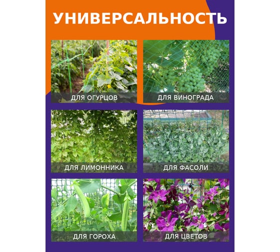 Шпалерная сетка MasterProf 2x5 м, ячейка 15x15 см ДС.070789