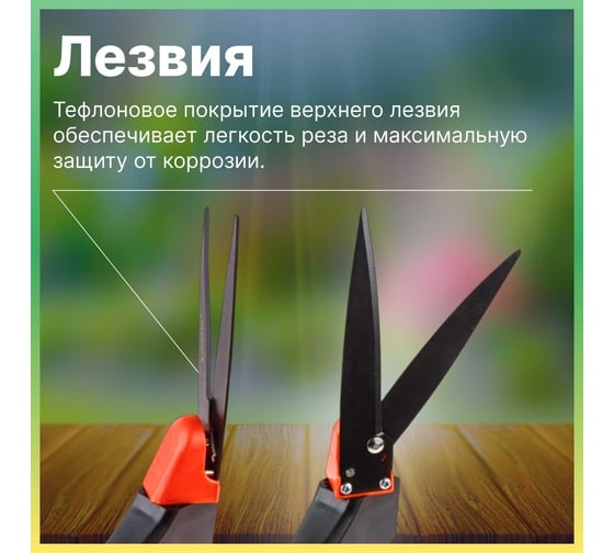 Ножницы для травы STARTUL Garden ST6093-05