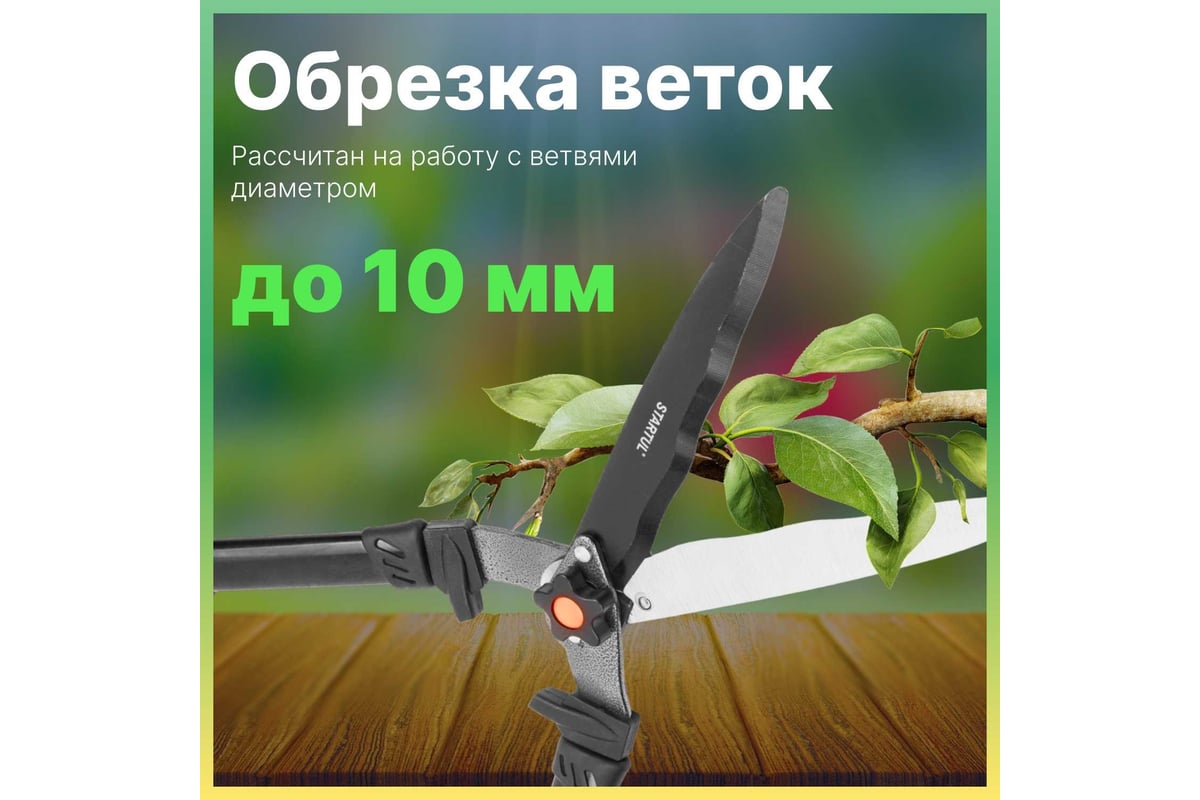 Ножницы для кустов STARTUL Garden ST6096-02 - выгодная цена, отзывы ...