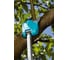 Телескопический высоторез Comfort 230 BL / Comfort gardena 08782-20.000.00 3