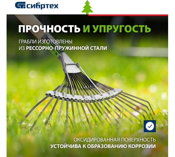 Веерные грабли с черенком, 20 зубьев, 1250 мм СИБРТЕХ 61779