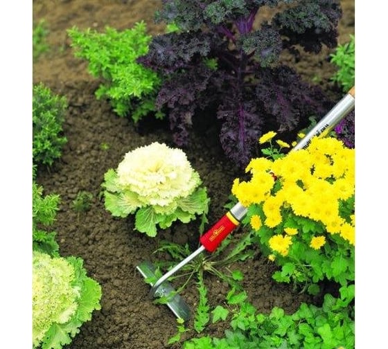 Мотыга коннекторного типа Wolf-Garten 15 см HU-M 15 71AAA011650