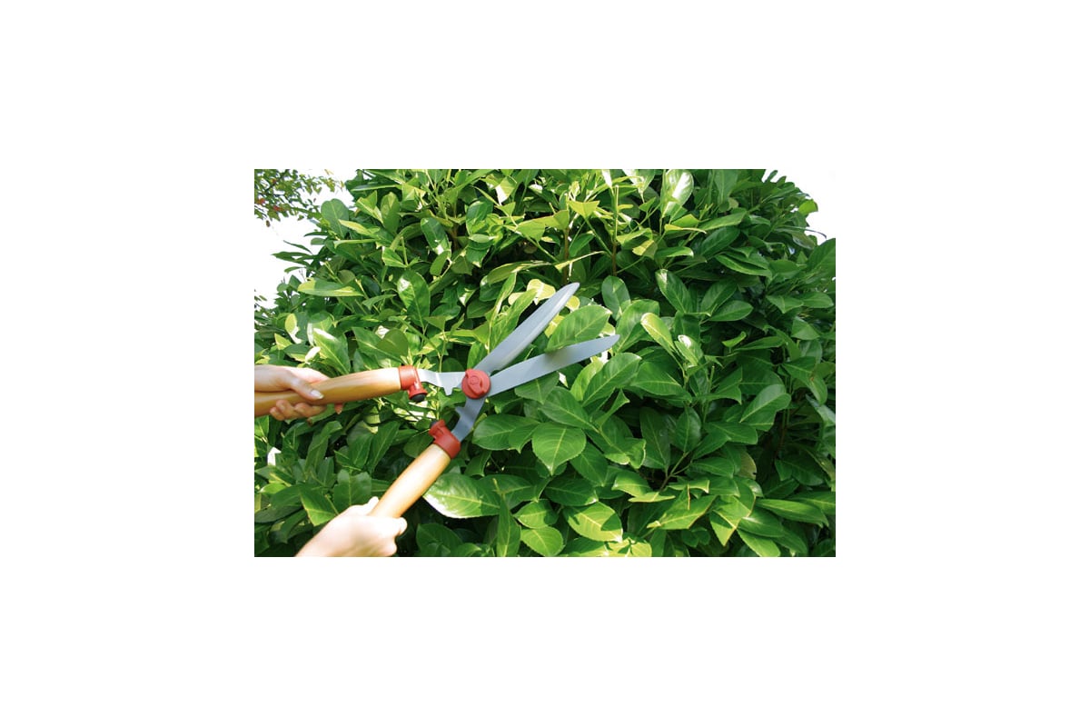 Специальные ножницы для стрижки кустов Wolf-Garten HS-TL 7438000 ...