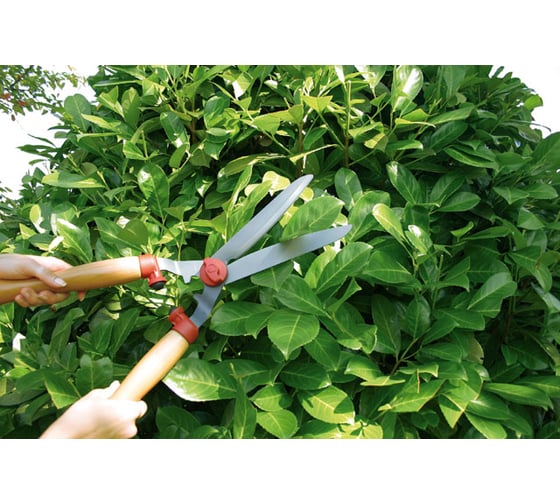 Специальные ножницы для стрижки кустов Wolf-Garten HS-TL 7438000