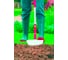 Обрезчик кромок газона коннекторного типа Wolf-Garten Полумесяц RM-M 3312000 2