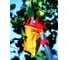 Сборщик фруктов Wolf-Garten RG-M 7242000 для комбисистемы 4