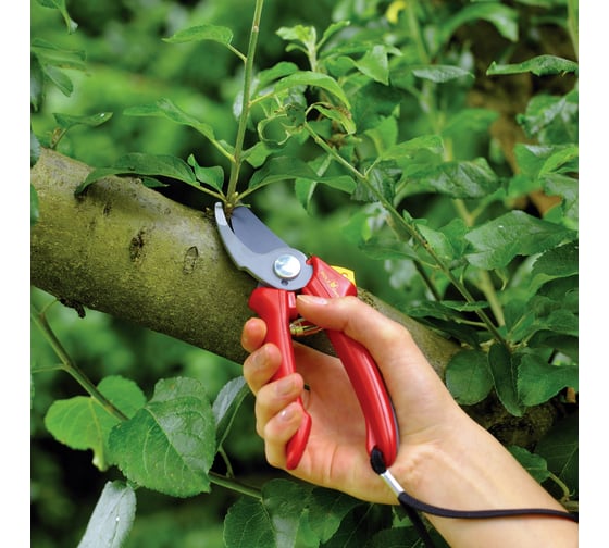Секатор в блистере Wolf-Garten Комфорт RR-M 7261000