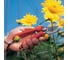 Секатор в блистере Wolf-Garten Комфорт RR-L 7260000 3