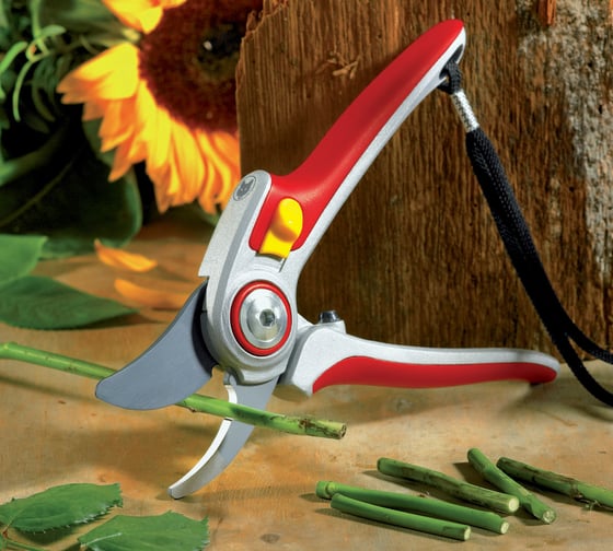 Профессиональный секатор в коробке Wolf-Garten RR 5000 7263000
