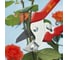 Секатор с наковальней в блистере Wolf-Garten Классик RS 22 7227007 2