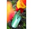 Цветочный совок 8см Wolf-Garten LU-Z 2913000 2