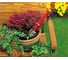 Цветочный совок Wolf-Garten LU-SM 2906002 71AAA019650 3