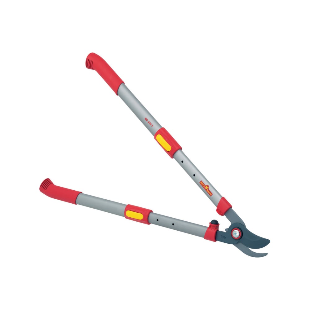 Телескопический сучкорез Wolf-Garten RR 650 T 7353000 - выгодная цена ...