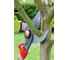 Телескопический сучкорез Wolf-Garten RR 650 T 7353000 3
