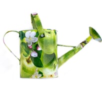 Лейка 5л Яблоки Центроинструмент 1038-5-6