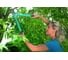 Сучкорез Gardena 500 BL Comfort 08770-20.000.00 2