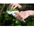 Плоскостной секатор Fiskars Quantum P100 1001434 (111970) 3