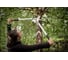 Большой плоскостной сучкорез Fiskars Quantum L L108 112630 2