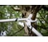 Большой плоскостной сучкорез Fiskars Quantum L L108 112630 3