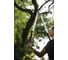 Телескопический сучкорез Fiskars SmartFitTM 1013564 (112500) 8