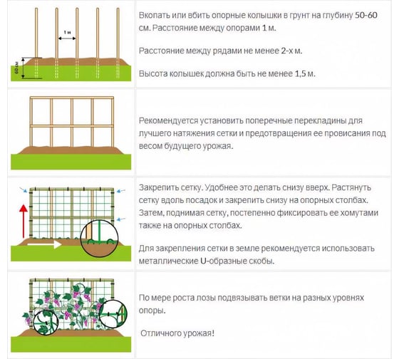 Сетка для винограда ПРОТЭКТ 30х25 мм, 5 м, зеленая УР-30/1/5 з