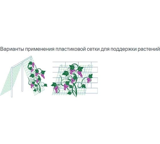 Сетка для винограда ПРОТЭКТ 30х25 мм, 5 м, зеленая УР-30/1/5 з