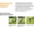 Облегченный удалитель сорняков FISKARS 1020127 (139940) 7