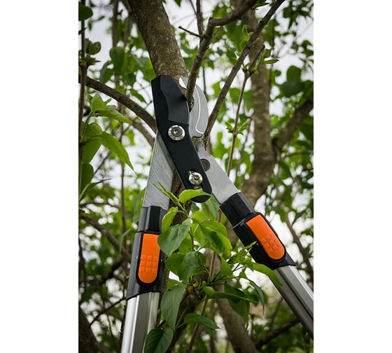 Телескопический сучкорез Plantic pro80 25280-01