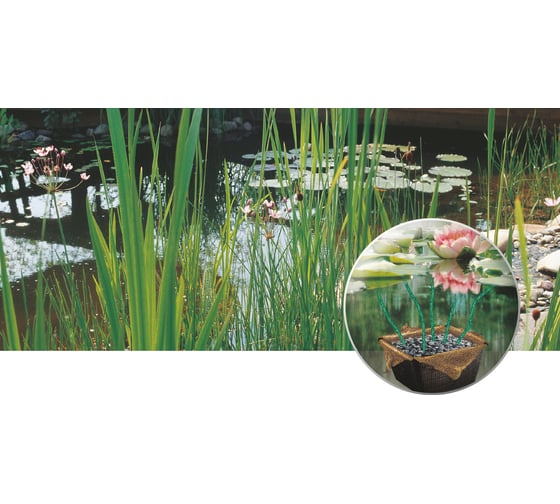 Корзина для растений Heissner квадратная, 28x28 см TZ101-00