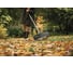 Веерные грабли Fiskars Xact XXL 1027036 9