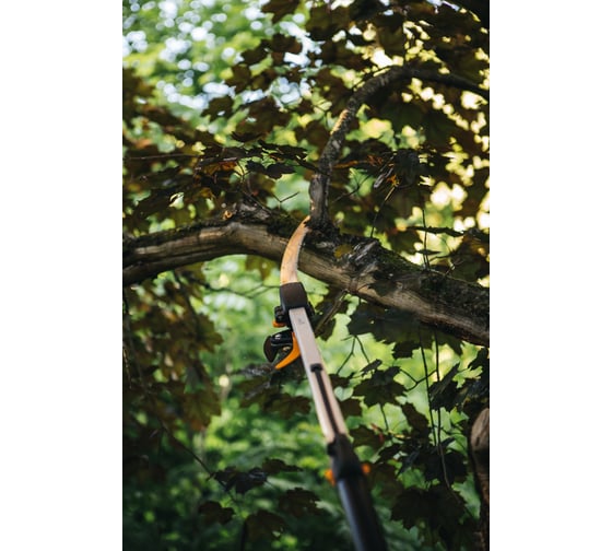 Высоторез Fiskars UPX86 1023624 - выгодная цена на телескопический ...