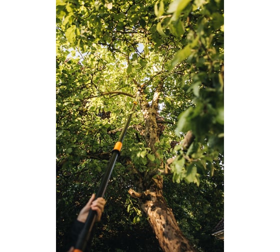 Высоторез Fiskars UPX86 1023624 - выгодная цена на телескопический ...