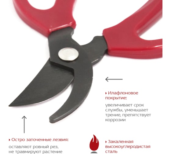 Ножницы для цветов FRUT CLUB 402305